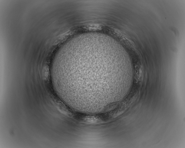 X0000115280704200911131829