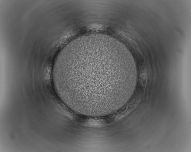 X0000115280708200911131829