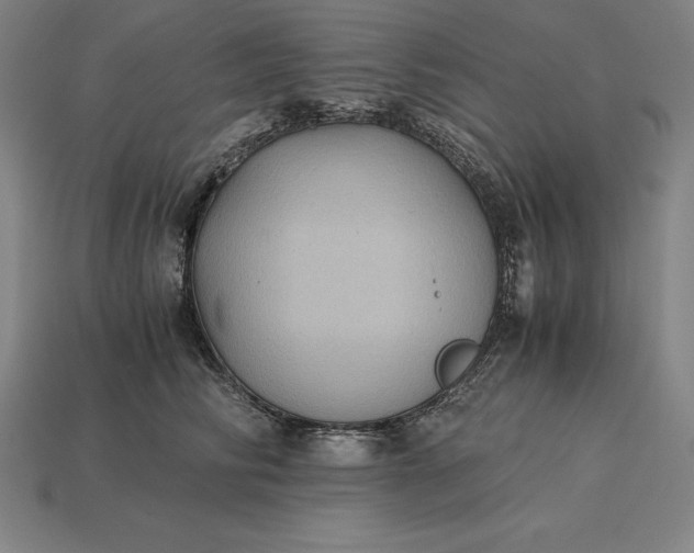 X0000115280710200911131829