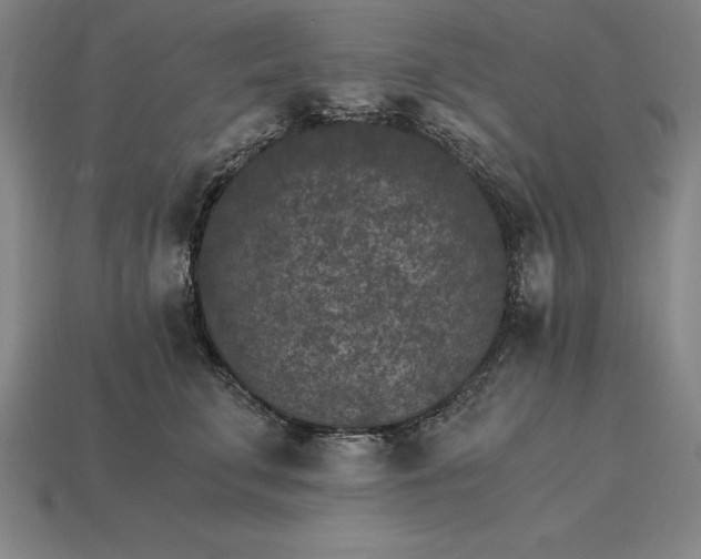 X0000115280711200911131829