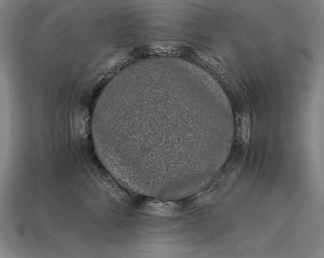 X0000115280712200911131829