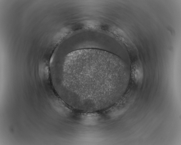 X0000115280716200911131829