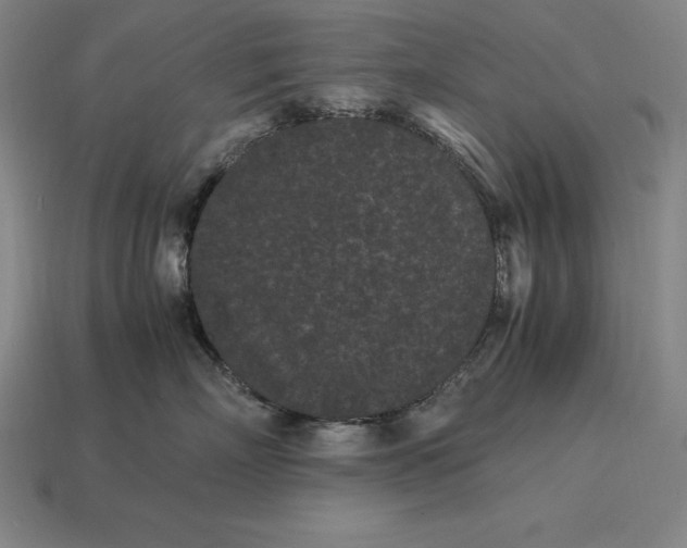 X0000115280718200911131829