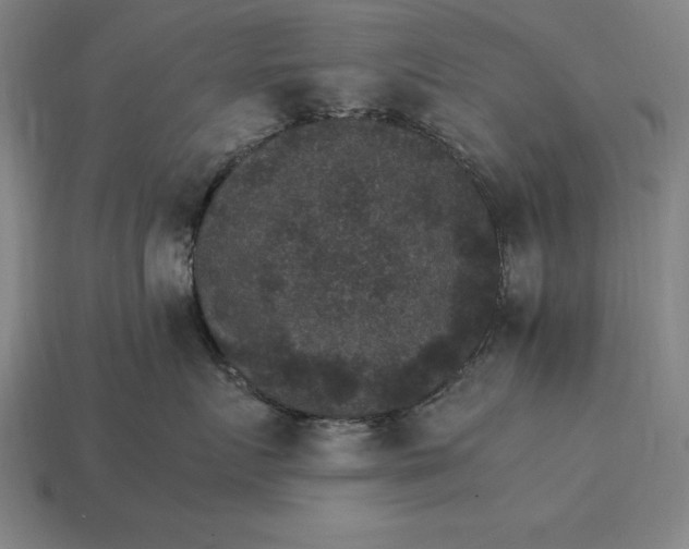 X0000115280719200911131829