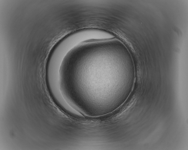 X0000115280721200911131828