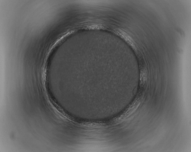 X0000115280722200911131828