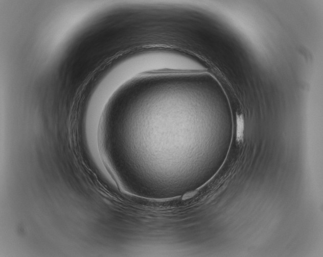 X0000115280723200911131828