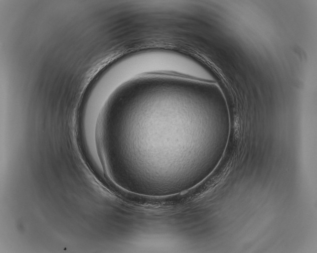 X0000115280725200911131828