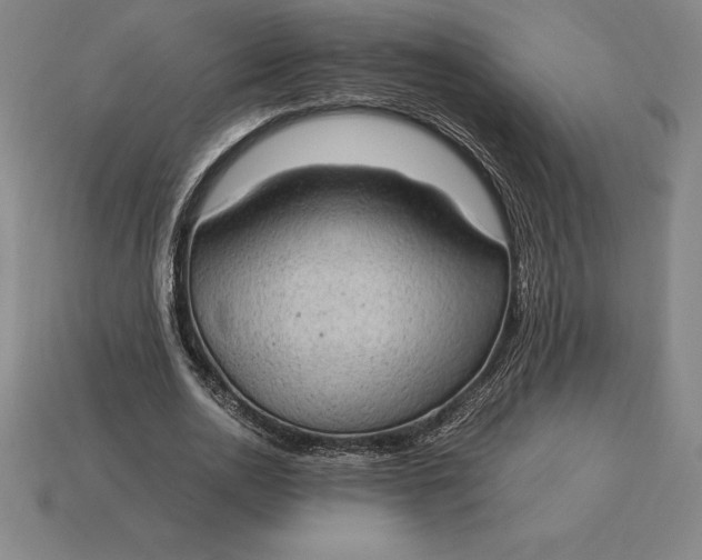 X0000115280726200911131828