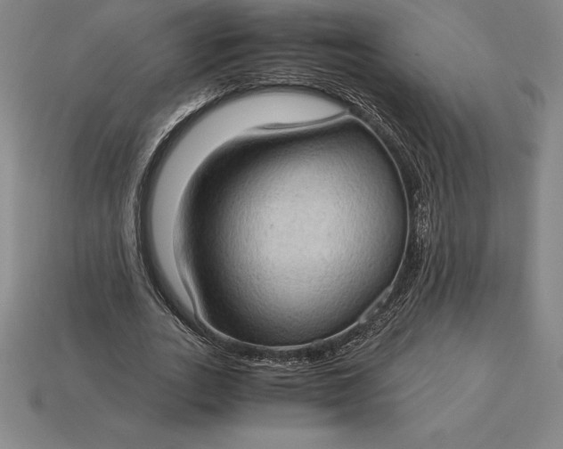 X0000115280727200911131828