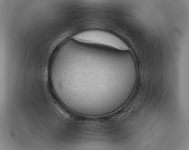 X0000115280729200911131828