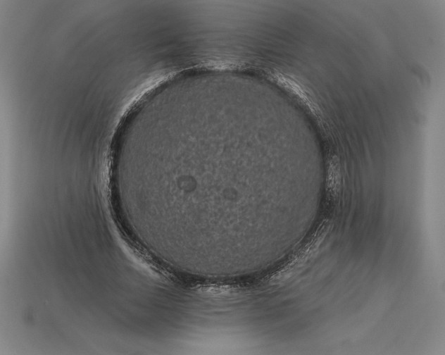 X0000115280730200911131828