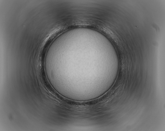 X0000115280731200911131828