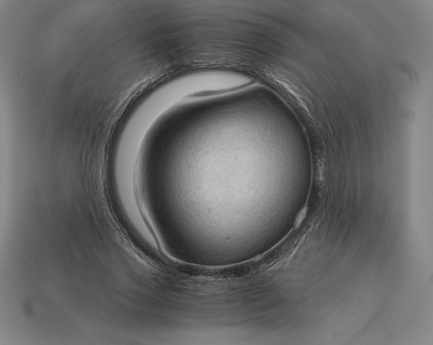 X0000115280733200911131828