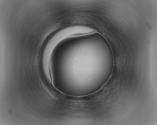 X0000115280735200911131828