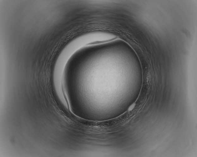 X0000115280737200911131828