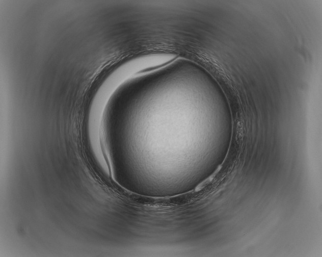 X0000115280739200911131828