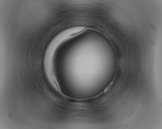 X0000115280741200911131828