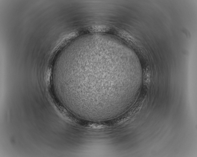 X0000115280742200911131828