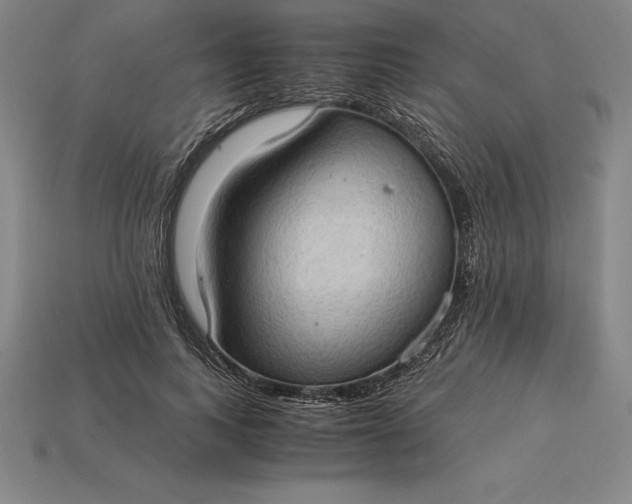 X0000115280743200911131828