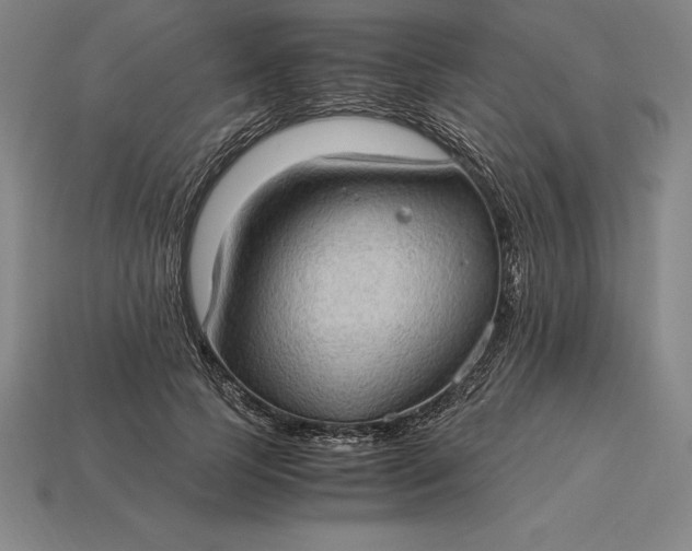 X0000115280745200911131828