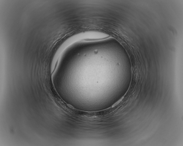 X0000115280747200911131828