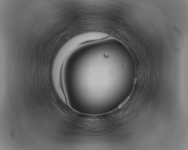 X0000115280749200911131828