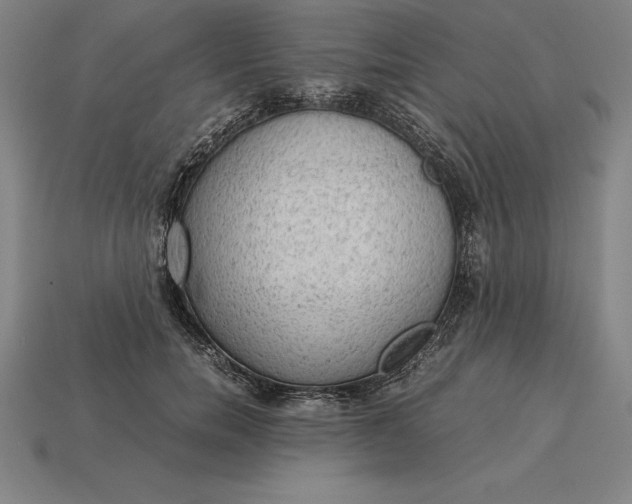 X0000115280750200911131828