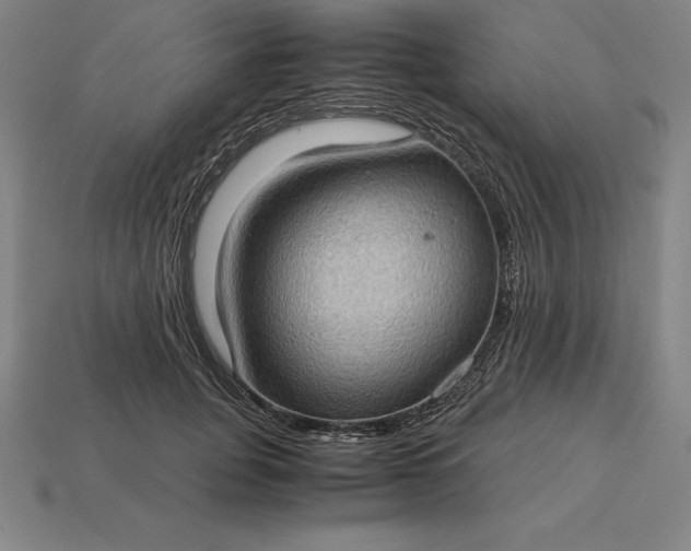 X0000115280751200911131828