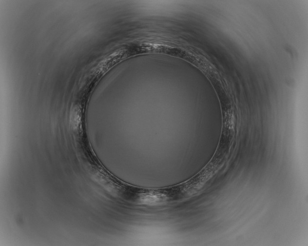 X0000115280754200911131828