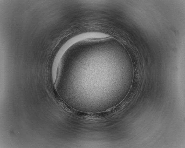 X0000115280755200911131828