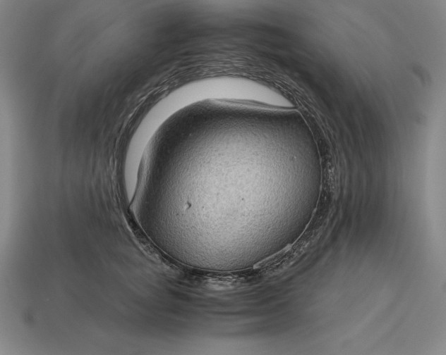 X0000115280757200911131828