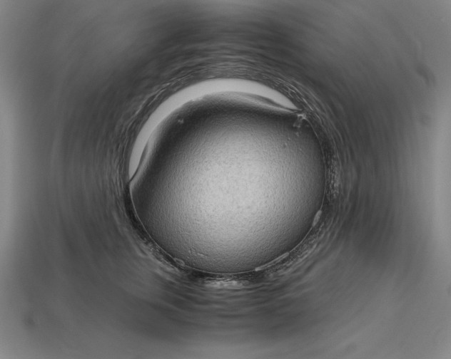 X0000115280759200911131828