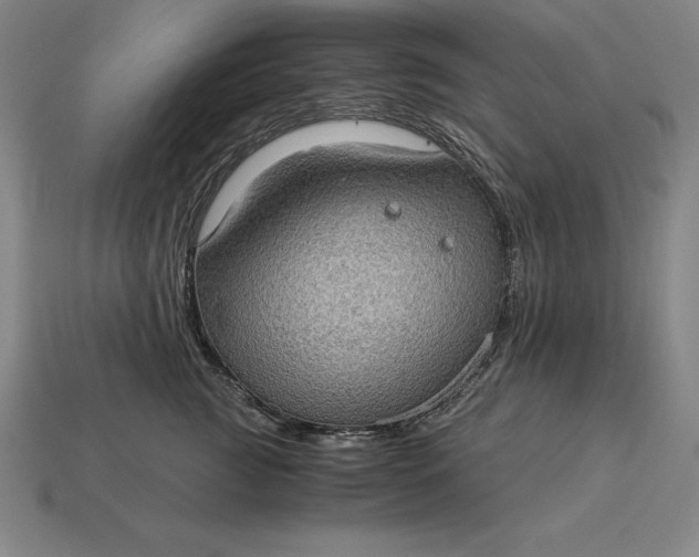 X0000115280761200911131828