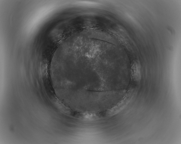 X0000115280762200911131828