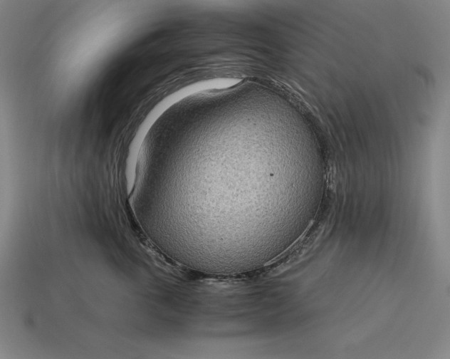 X0000115280763200911131828