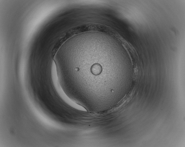 X0000115280765200911131829