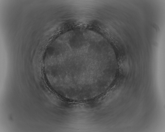 X0000115280769200911131828