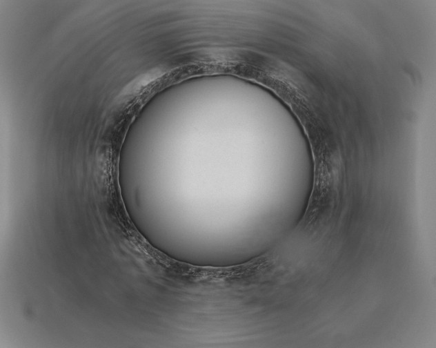 X0000115280773200911131828