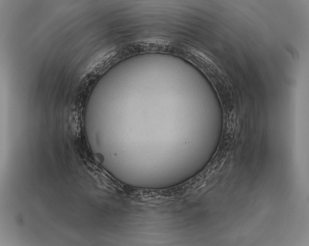 X0000115280774200911131828