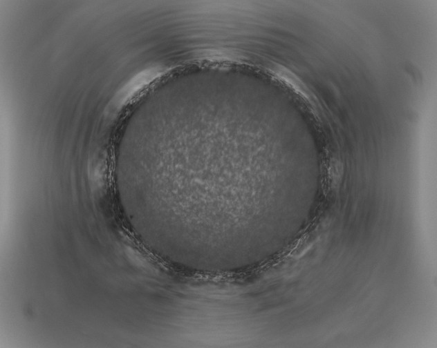 X0000115280775200911131828