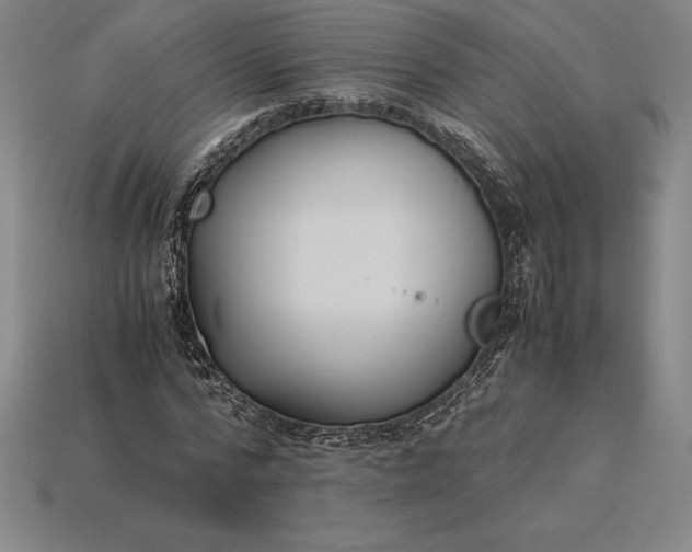 X0000115280776200911131828