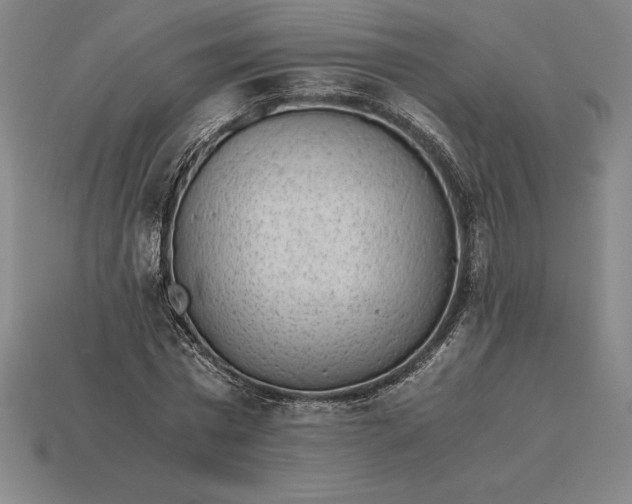 X0000115280777200911131828