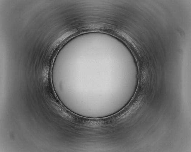 X0000115280778200911131828