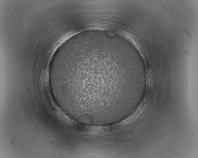 X0000115280779200911131828