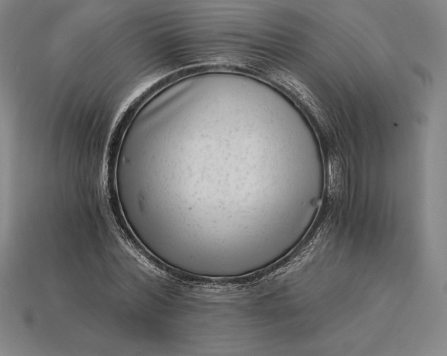 X0000115280780200911131828