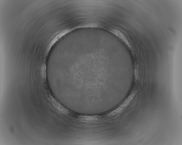 X0000115280781200911131828