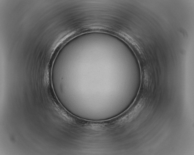 X0000115280782200911131828