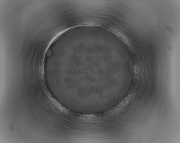 X0000115280784200911131828