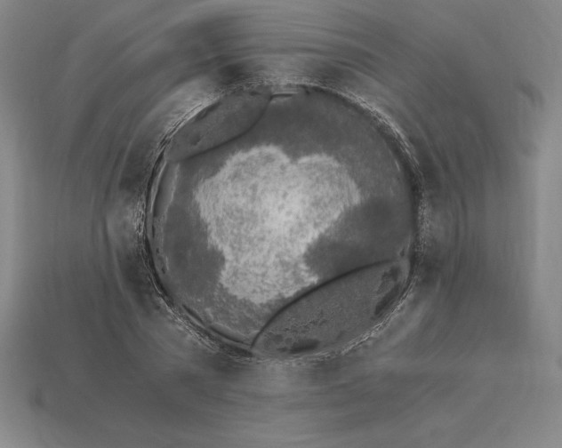 X0000115280785200911131828